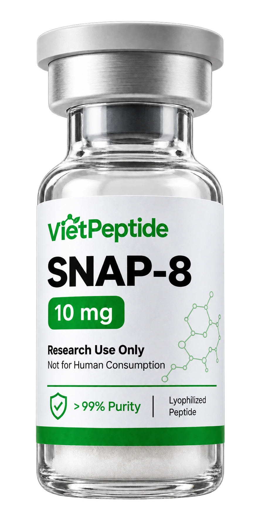 SNAP-8 photo 1